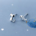 Asymmetrical cat fishbone stud earrings women's simple light luxury short earrings 2021 new live broadcast supply.