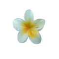 Egg flower claw for women's new high-end hair accessory headwear clip, large back spoon shark clip.