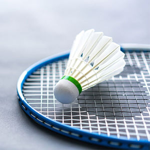Golden%20Wing%20907%20professional%20Badminton%20Single%20Racket%20with%20bag%20-%20Image%204