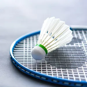 Golden%20Wing%20GW-970/907%20Badminton%20Single%20Racket%20with%20bag%20-%20Image%203