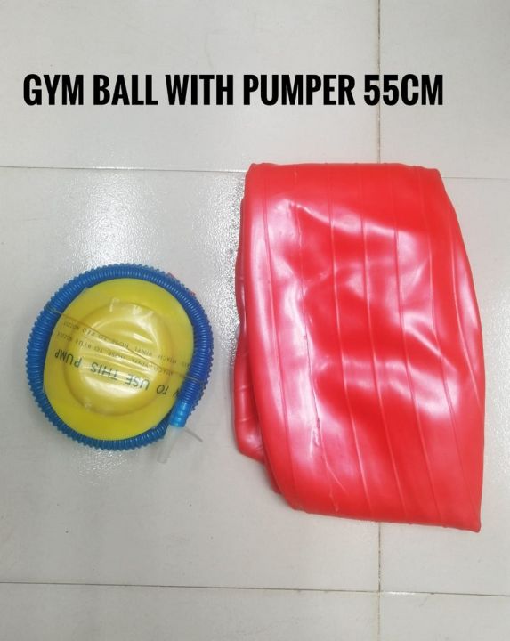 Gym Ball Yoga ball 55cm with pumper free