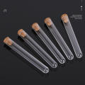 15X100mm 15X100mm test tube Airtight 20ml Transparent Transparent plastic test tube Plastic Round bottom test tube for.