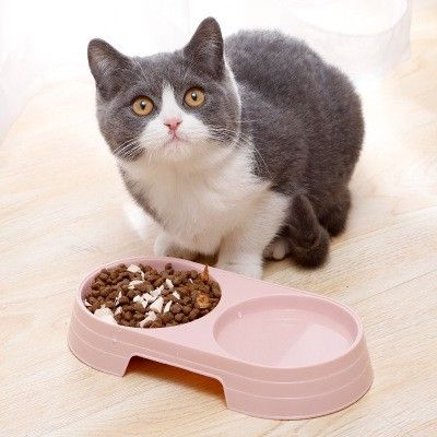 Kumopet Pet Dog Cat Food/Water Bowl 2in1