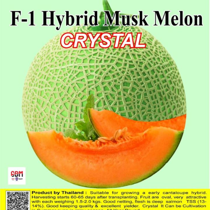 Rock Melon Seeds 10 Pcs (সাম্মাম ফল ) - Rock/musk Melon Biz - রক মেলন বীজ