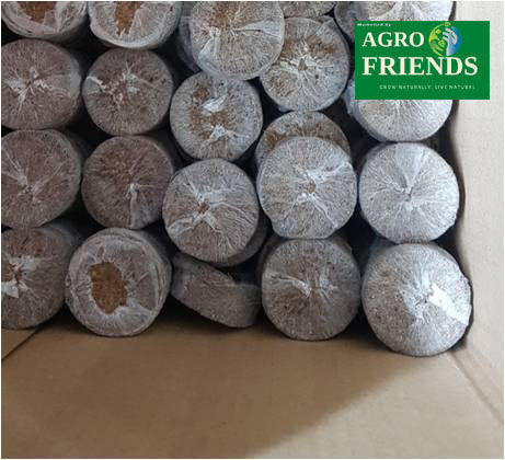 Nutrient%20COCO-Tab%20For%20Seedling%20and%20Germination%20(Imported%2050mm%20&%2030mm%20)%20-%20Image%206