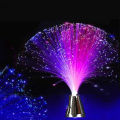 Holiday Atmosphere Lights LED Fiber Optic Lights Lanterns Starry Sky Wedding Party Christmas Decoration Home Furnishing.