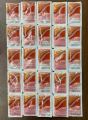 Odessy Shampoo mini pack 12pcs. 