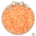 High Quality Seed Beads Frosted Tint Glass Beads For DIY Jewelry Making. 