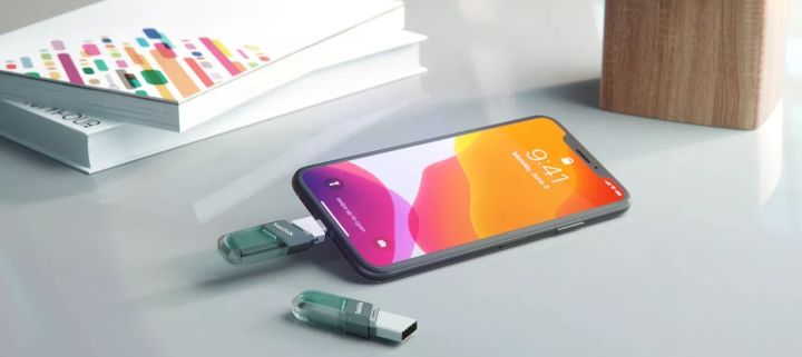 Pendrive%20128GB%20OTG%20iPhone%20iPad%20iPod%20APPLE%20MFi%20USB%20Flash%20Drive%2064GB%20256GB%20%20OTG%20USB3.0%20SDIX40N%20Pen%20Drive%20(32GB%20128GB)%20lightning%20USB%20Stick%20pendrive%20for%20iPhone%20iPad%20iPod%20APPLE%20MFi%20-%20Image%206