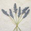 6Pcs/Pack Artificial Vanilla Mini Foam Berry Spike Artificial Flowers Bouquet for Home Plant Wall Decoration. 