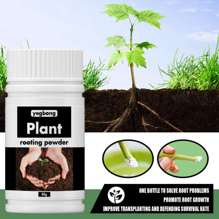 1%20Bottle%20Useful%20Flower%20Fertilizer%20Compact%20Rooting%20Powder%20No%20Odor%20Reliable%20Strong%20Power%20Precisely%20Flower%20Fertilizer%20-%20Image%206