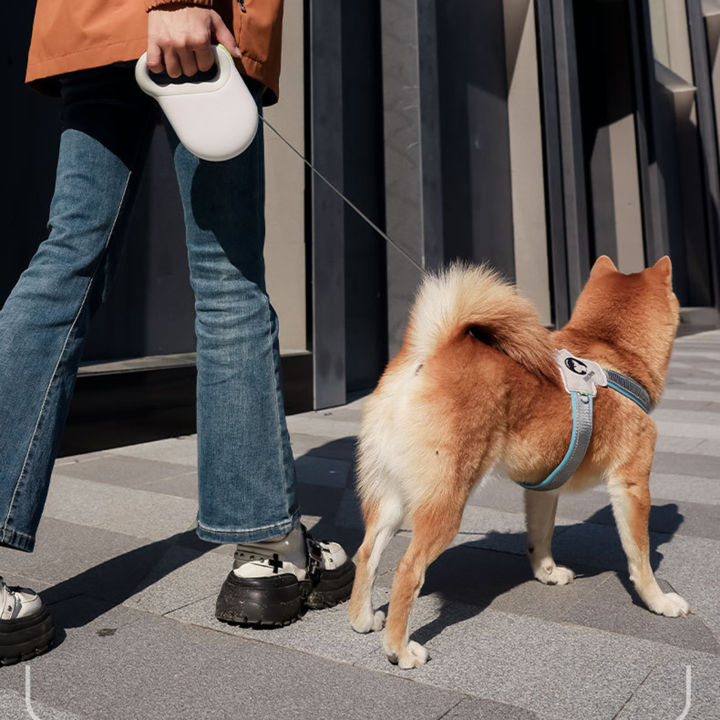 Qiunery%20Retractable%20Dog%20Leash%20With%20Reflective%20Stripe,%20W-shaped%20Rope%20Outlet%20Anti-friction%20Heavy%20Duty%20Reflective%20Nylon%20Tape%20Rope,%20Durable%20Dog%20Walking%20Leash%20For%20Dogs%20-%20Image%202