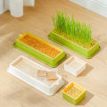 Cat Grass Growing Kit Seed Sprout Tray Nursery Tray Layered Cat Plant Soilless Convenient Cat Grass Kit Pet Supplies. 