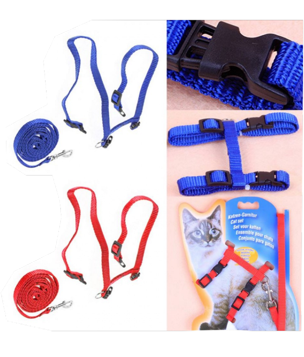 Cat%20body%20Belt%20-%20Multicolor%20-%20Image%205