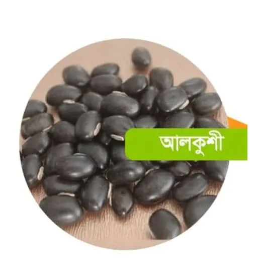 Alkushi%20Seeds%201%20Kg%20-%20Image%202