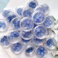 20 PCS DIY Dried Flowers Elegant Beautiful Artificial Forget-Me-Not Simple Creative Pressed Flower Decoration.
