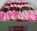 DMC Shaded Color Thread for Cross Stitch Threads Bracelet Yarn Craft Floss Embroidery Floss 12/16 Pieces Set.