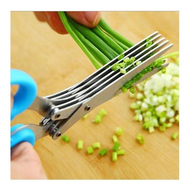 Multi bleed Vegetable cutter scissor