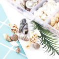 About 100Pcs/Box Natural Conch Shells Aquarium Landscape Seashells Crafts Decor Cherry Super Store. 