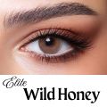 BELLA COLOR CONTACT LENSES with kit box FREE B17 Bella Elite Wild Honey Bella Elite Series. 