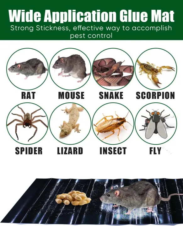 Rat%20Sticky%20Traps%206X%20Extra%20Large,%20Black%20Mouse%20Glue%20Trap%20Sticky%20Trap%20for%20Mice%20and%20Rats,%20Enhanced%20Stickiness%20Trapping%20Pads%20Snakes%20Spiders%20Roaches%20for%20House%20Rodent%20Pest%20Control%20-%20Image%202