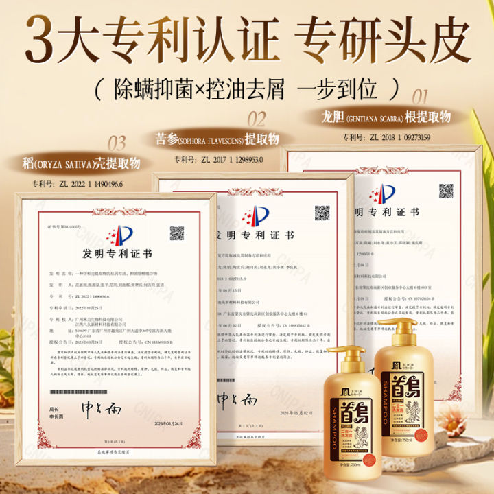 Beauty%20Tao%20He%20Shou%20Wu%20Nourishing%20Shampoo%20Black%20Hair%20Shine%20Oil%20Control%20Refreshing%20Anti-dandruff%20Anti-itch%20Shampoo%20Lotion%20can%20be%20wholesale%20-%20Image%203