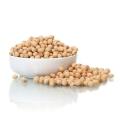 Soybean Seeds/ Soybean Bichi/Bij-  500 gm. 