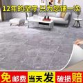 Thickening and Wear-Resistant Vinyl Floor Wholesale Household Cement Floor Rough Room Waterproof and Hard-Wearing Floor Kindergarten Commercial Floor. 