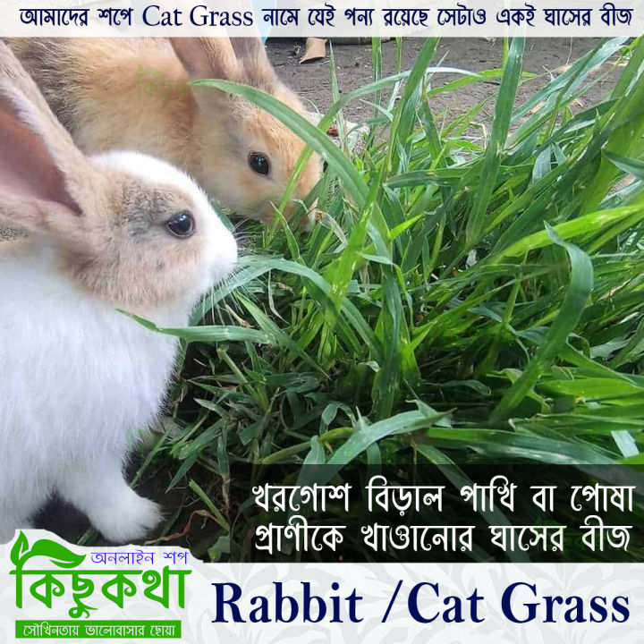 Rabbit Grass Seed - 10/20/50 Gram Seed For Rabbit Cat and Other Animal Eating Grass
