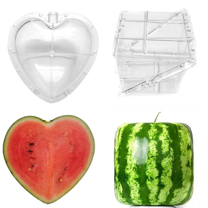 Square%20Heart%20Watermelon%20Mold%20Garden%20Fruit%20Growth%20Forming%20Shaping%20Mould%20Tool%20Eatop%20-%20Image%202
