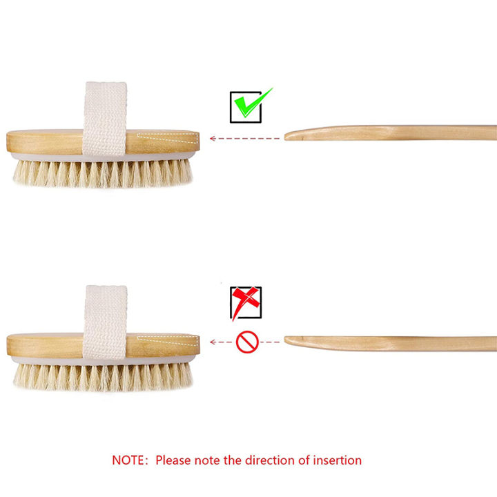 Dry%20Brushing%20Body%20Brush%20Set%20of%202,%20for%20Shower,%20Dry%20Brush%20for%20Cellulite%20-%20Image%207