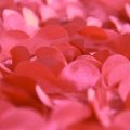 Romantic Red Roses Bed Runner Luxury laciness rose Bed Tail Towel Bedding Scarf Wedding Home Hotel Bedroom Decorations.