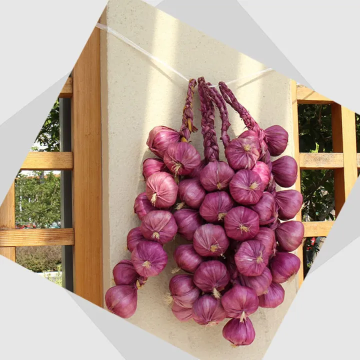 Artificial%20Fruit%20Foam%20Vegetable%20Corn%20Pepper%20Garlic%20Hanging%20Photo%20Prop%20Home%20Decor%20-%20Image%208