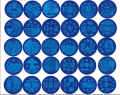 Nail Art Stamping Plate - Small Round - JQ Series.