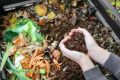 Waste Decomposer for Agriculture, Plants, Gardening, and Farming | Compost Maker | Vegetable Waste Decomposer | Bio-Waste Decomposer. 
