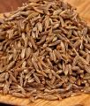 Cumin - jira জিরা 100 gm. 