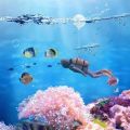 New Aquarium Decoration Accessories Mini Samll Ornaments Plant Stones Decor Turtle Accessory Aquariums For Fish Tank-Accessories.