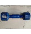 3 KG BLUE DUMBLE 1 PIS. 