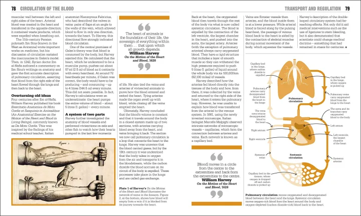 The%20Biology%20Book:%20Big%20Ideas%20Simply%20Explained%20Hardcover%20-%20Image%205