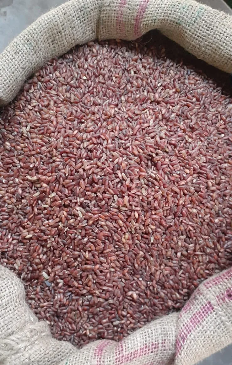 Amon rice/red rice | Daraz.com.bd