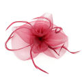 Women Fascinator Bow Hair Clip Headwear Lace Feather Mini Hat Wedding Party Accessory Race Fashion Handmade Lady.