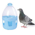 Pigeon Waterer Drinker Feeder Automatic Bird Water Dispenser for Duck Parrot 2L.