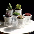 Transparent flower pots automatically absorb water round plastic hydroponic potware creative succulent plant pots 1 PCS.