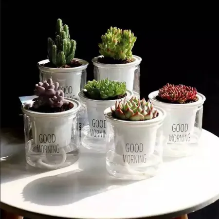 Transparent%20flower%20pots%20automatically%20absorb%20water%20round%20plastic%20hydroponic%20potware%20creative%20succulent%20plant%20pots%201%20PCS%20-%20Image%208