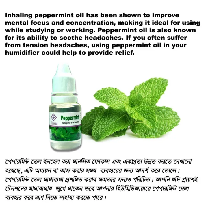 Peppermint%2012%20ml%20Humidifier%20Flavour%20,%20100%20%25%20natural%20Fragrance%20oil%20to%20mix%20with%20water%2012%20ml%20-%20Image%202