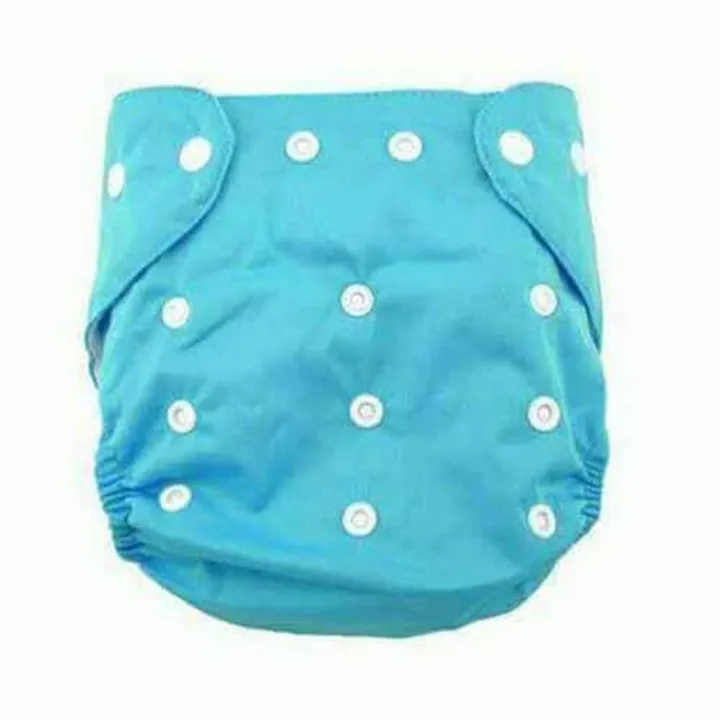 Ready Shop BD Washable Cloth Diaper Blue( with 1 Pad 3 Layer )