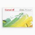 Camel Artist Soft Pastel Color 20 Shade.