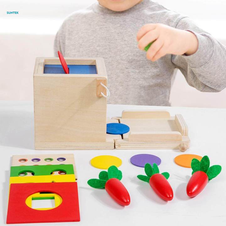 Wooden Montessori Baby Toys Early Learning Object Permanence Box 5 in 1 for Kids Children Boys Girls