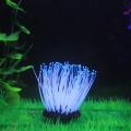Artificial Silicone Sea Anemone with Glowing Effect for Fish Tank Aquarium Ornament Decoration. 