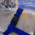 Adjustable Nylon Pet Cat Harness and Leash ~ Kitten Belt Collar with lead. 